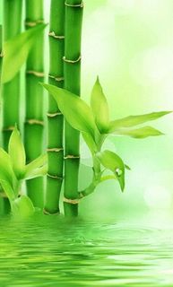 公司注销财税坑：存货和往来款怎么处理